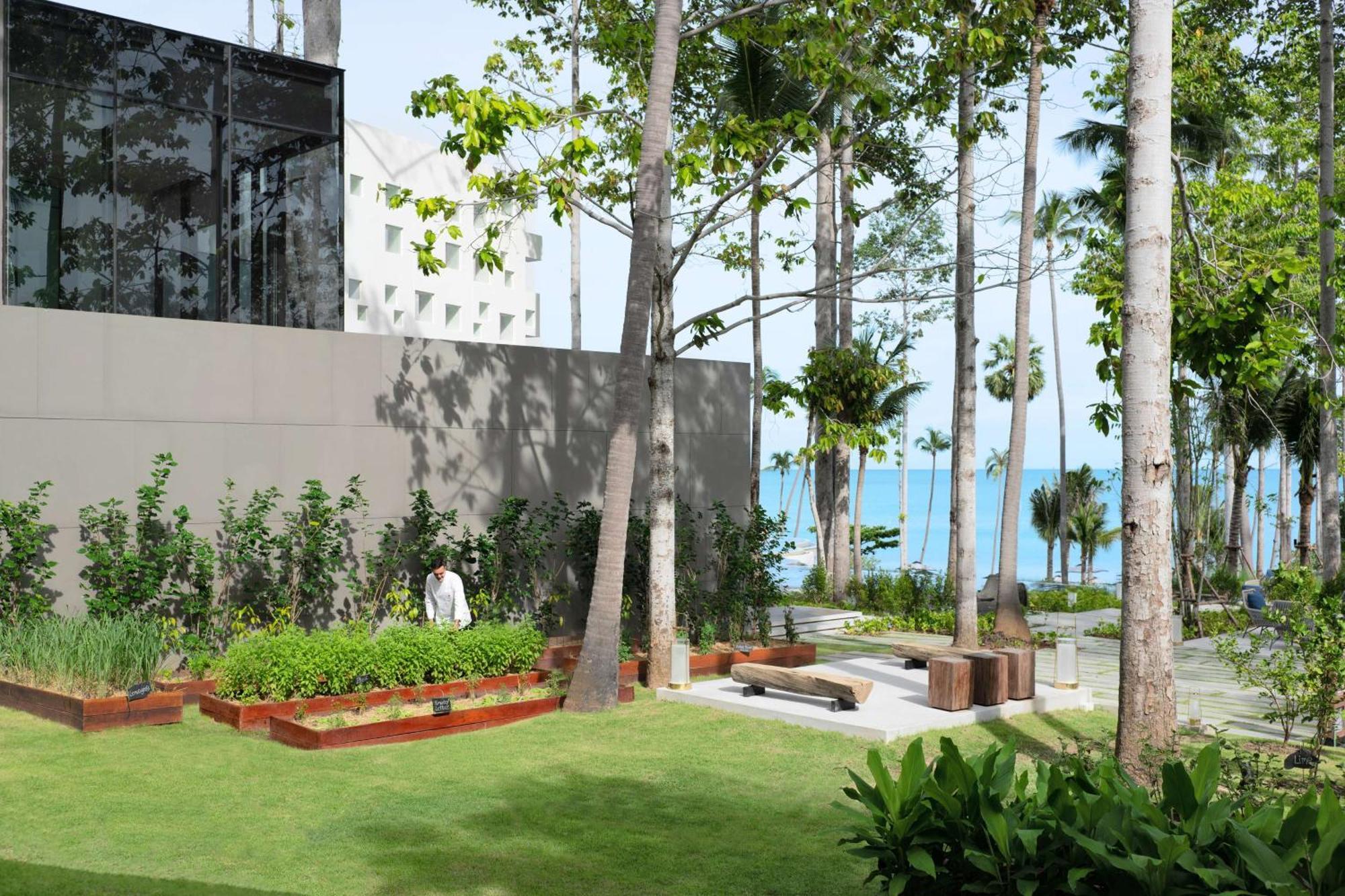 Готель Hyatt Regency Koh Samui пляж Чавенг Екстер'єр фото The Gardens