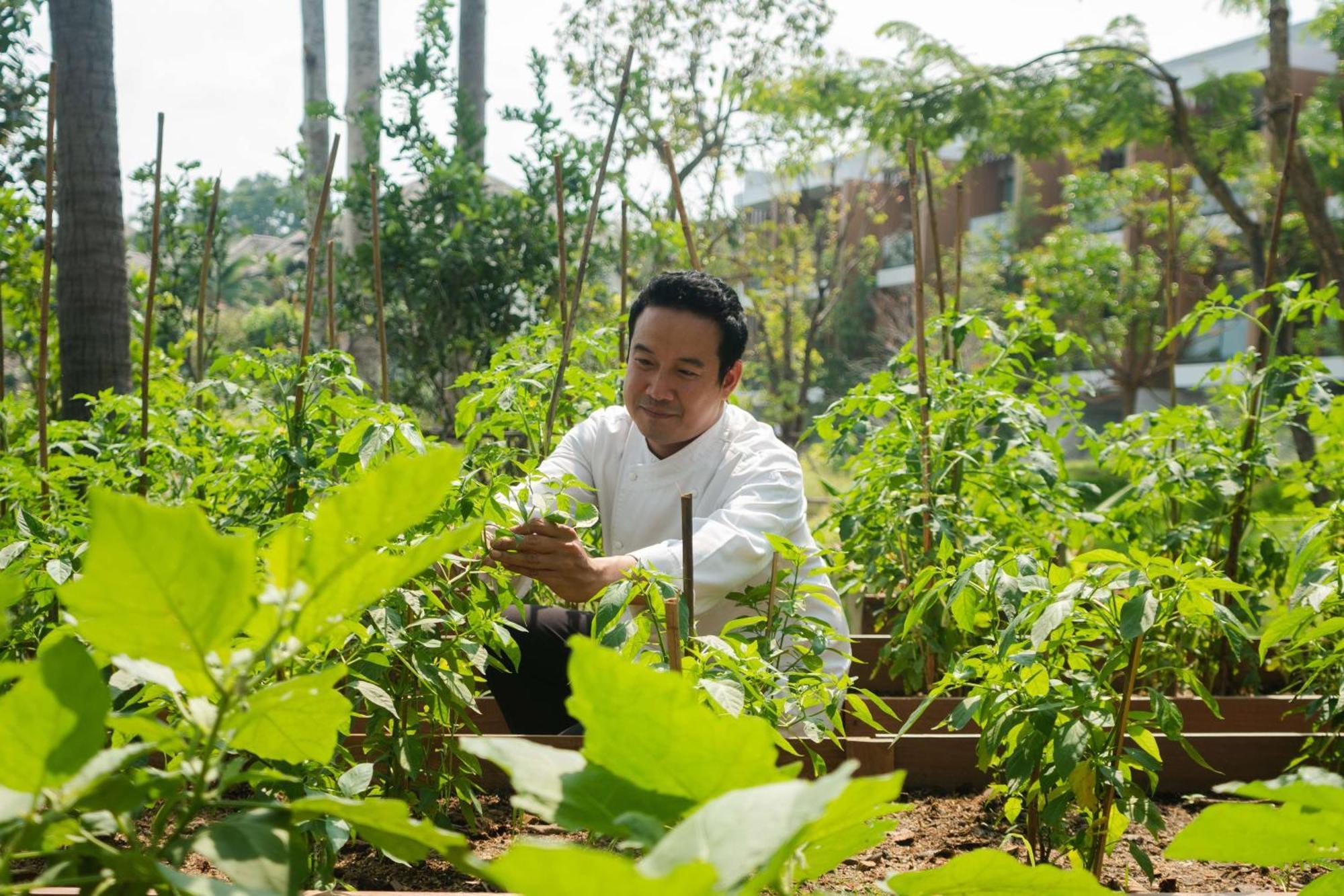 Готель Hyatt Regency Koh Samui пляж Чавенг Екстер'єр фото Chef Hung at the farm
